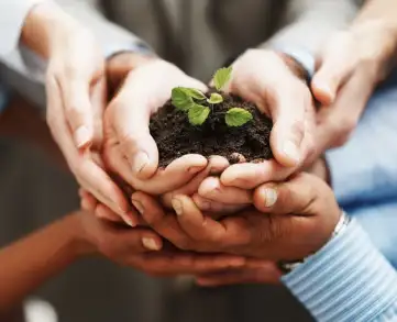 Multiple hands of diverse individuals holding a small plant growing in soil, symbolizing growth and collaboration.
